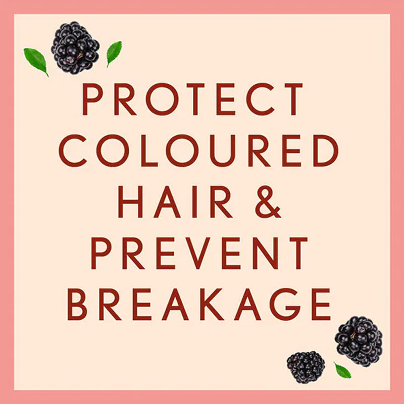 Aveeno Colour Protect + Blackberry & Quinoa Blend Conditioner 354ml