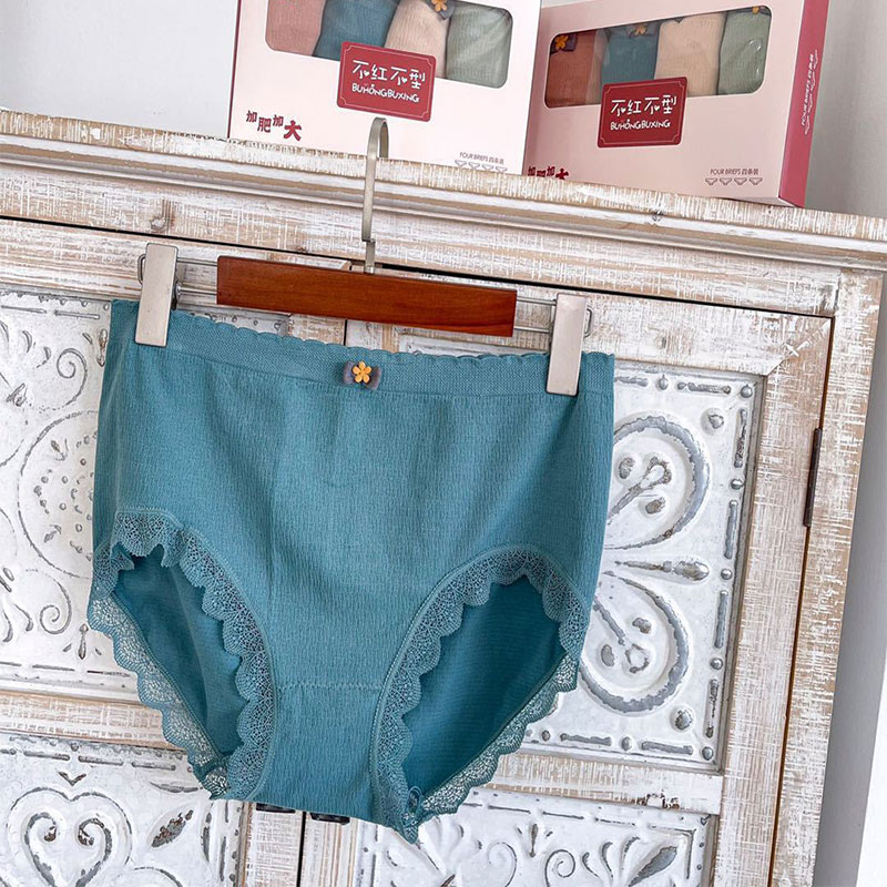 Buhong Buxing Underwear Set For Plus Size Women 4pcs - (60-125kg)
