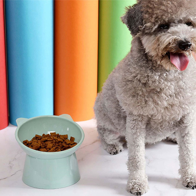 Elevated Raised Water Food Bowl For Cat & Dog - Paste