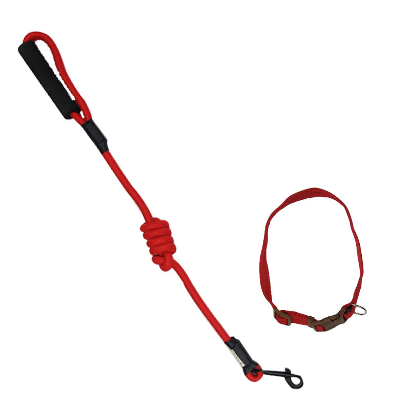 EVA Pet Leash With Adjustable Collar Strap - Medium