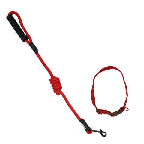 EVA Pet Leash With Adjustable Collar Strap - Small