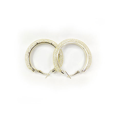 Fashionable Small Hoop Earrings For Women
