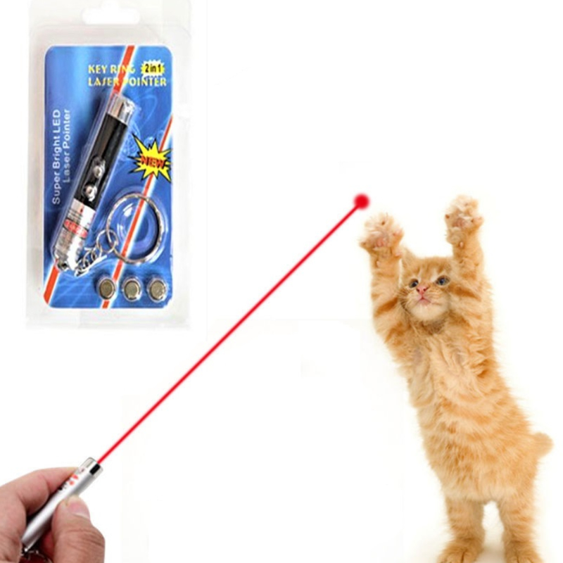 Funny 2 In 1 Super Bright LED Pet Laser Pointer With Key Ring - Black  (20204) || The MallBD