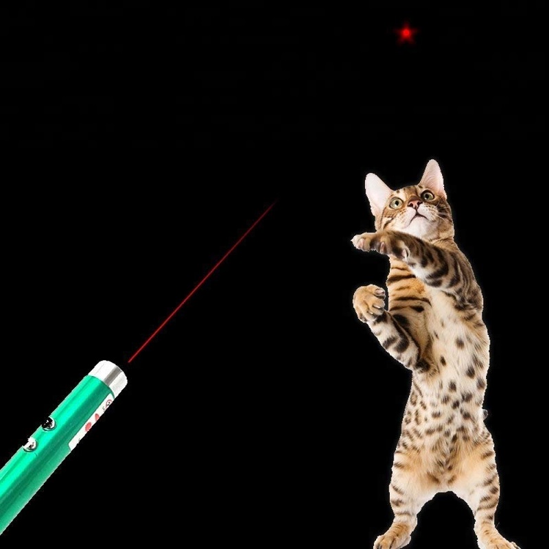 Funny 2 In 1 Super Bright LED Pet Laser Pointer With Key Ring - Green