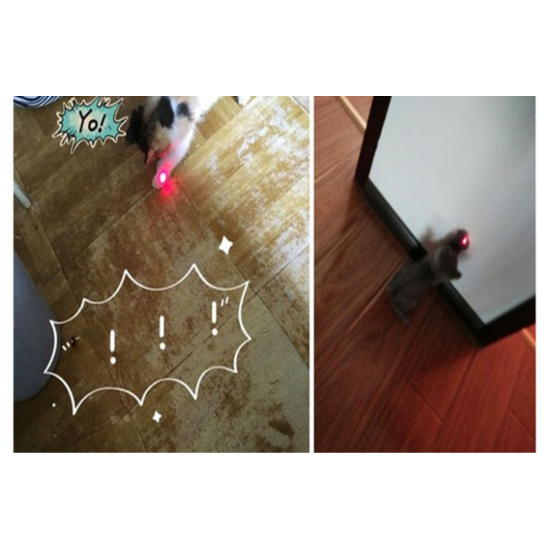 Funny 2 In 1 Super Bright LED Pet Laser Pointer With Key Ring - Green