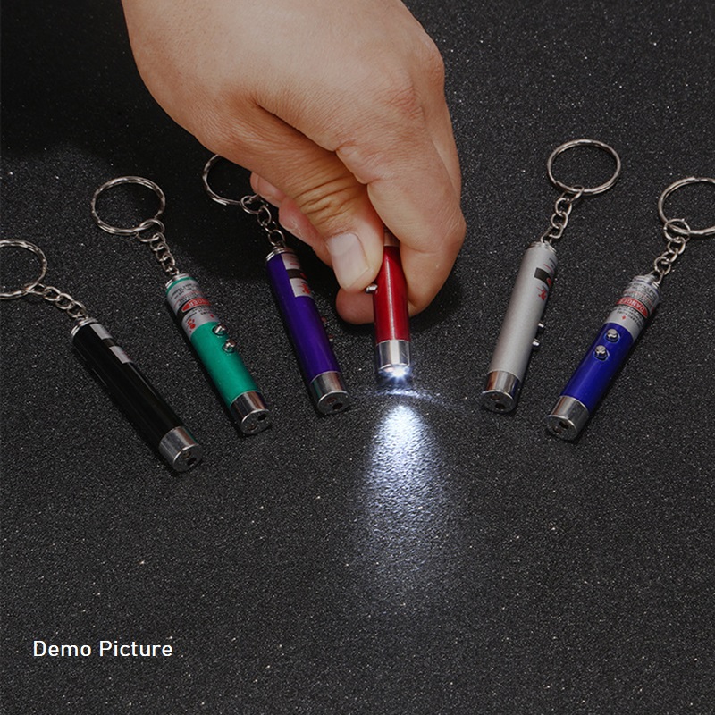 Funny 2 In 1 Super Bright LED Pet Laser Pointer With Key Ring - Green