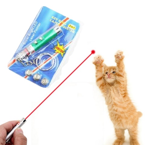 Funny 2 In 1 Super Bright LED Pet Laser Pointer With Key Ring - Green