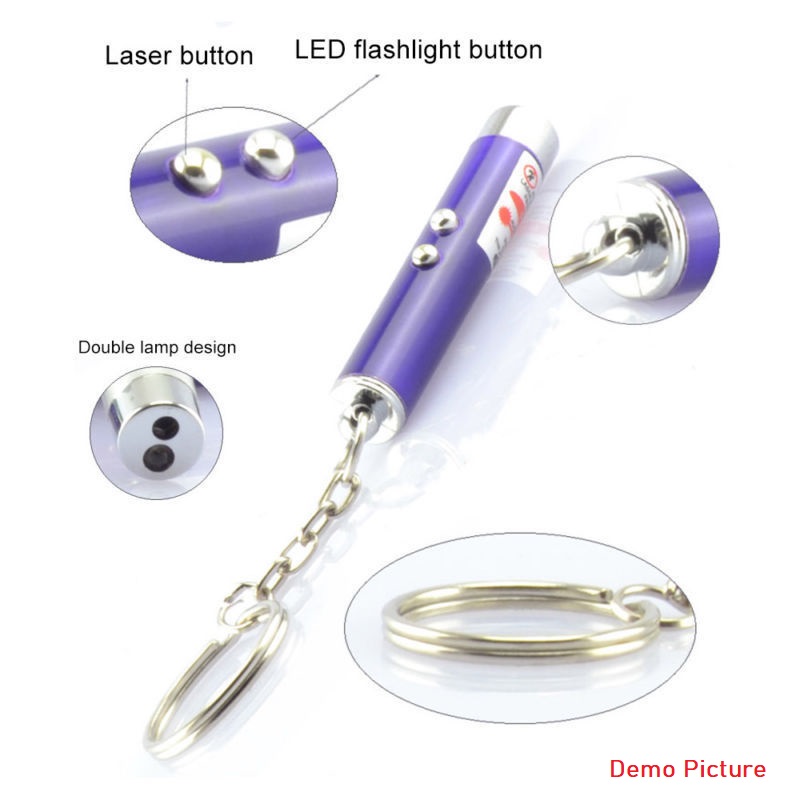 Funny 2 In 1 Super Bright LED Pet Laser Pointer With Key Ring - Silver