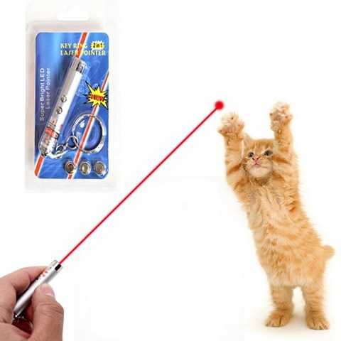 Funny 2 In 1 Super Bright LED Pet Laser Pointer With Key Ring - Silver