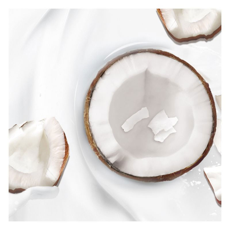 Garnier Botanic Therapy Nourishing Coconut Hair Milk Mask 250ml