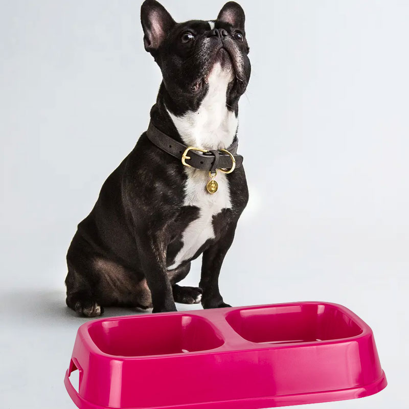 Good Boy Double Diner Dog Bowl - Pink (3047)