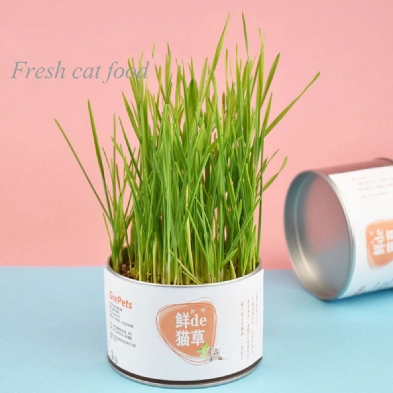 GrePets Lazy Canned Cat Grass (20203)