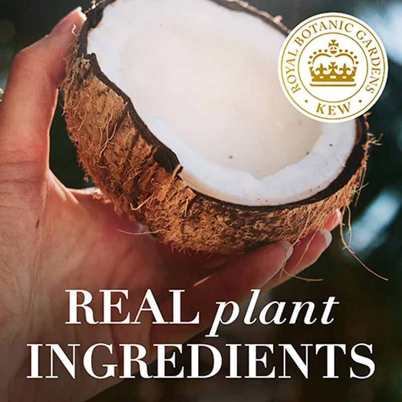 Herbal Essences bio:renew Hydrate Coconut Milk Shampoo 400ml