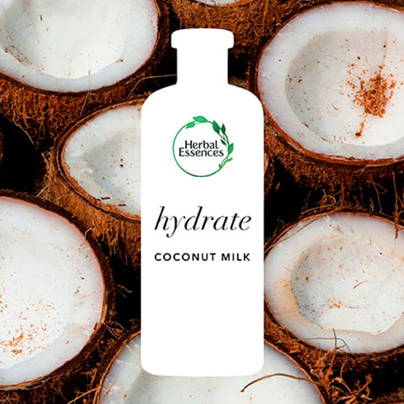 Herbal Essences bio:renew Hydrate Coconut Milk Shampoo 400ml