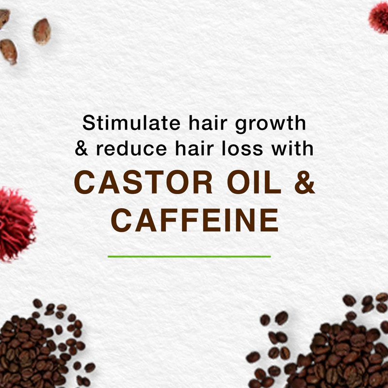 Himalaya Herbals Anti Hair Fall Castor & Caffeine Shampoo 180ml