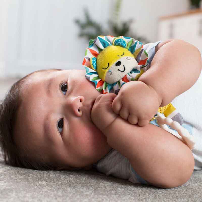 Infantino Go Gaga Chime 0m+ - Lion