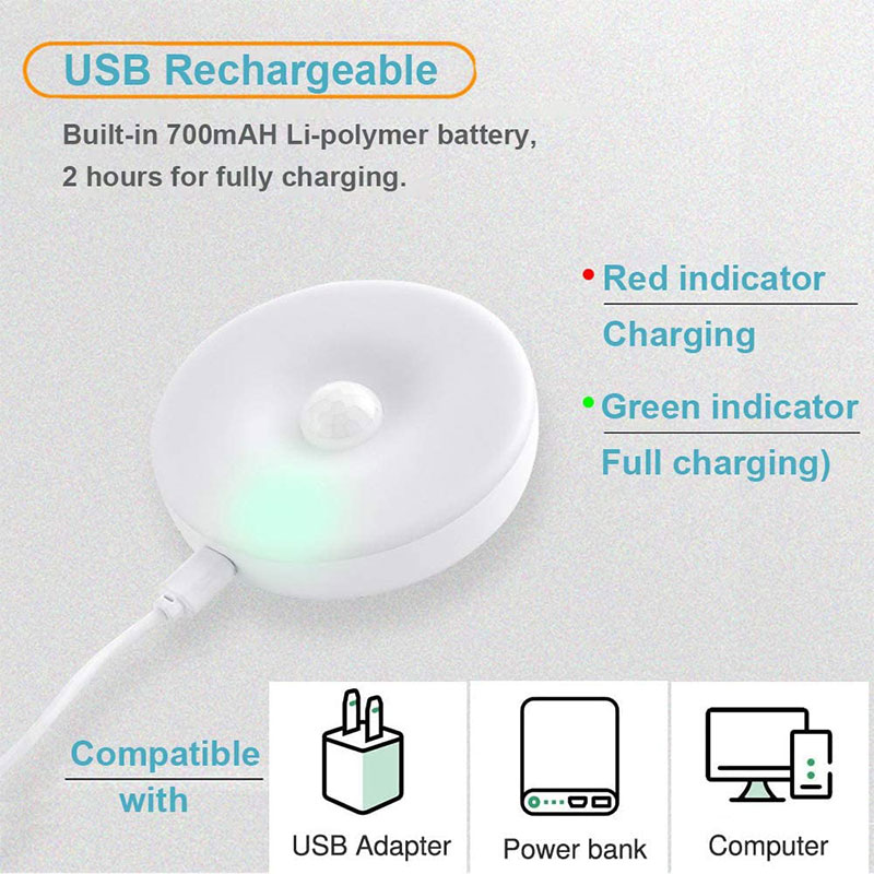Intelligent Human Body Induction Lamp (301177)