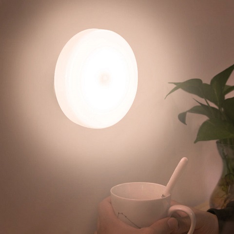 Intelligent Human Body Induction Lamp (301177)