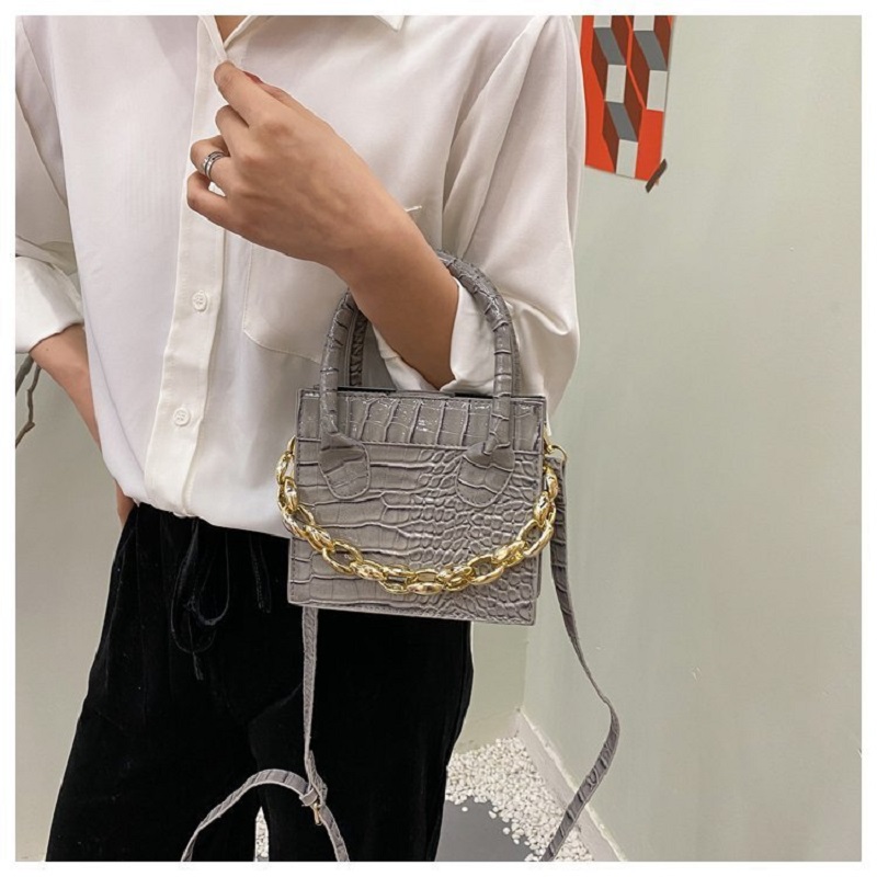 Ladies Mini Vissy Bag With Chain (1001053)