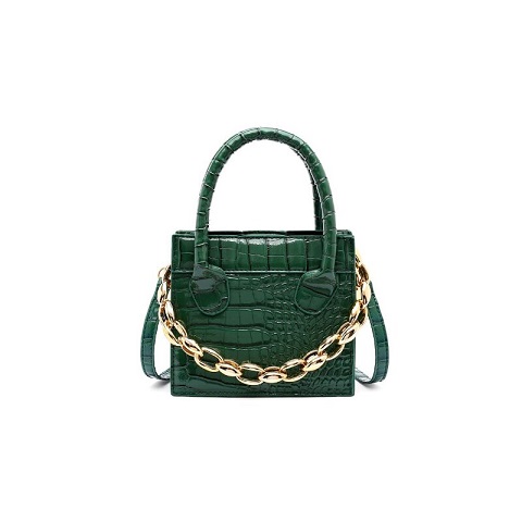 Ladies Mini Vissy Bag With Chain (1001052)