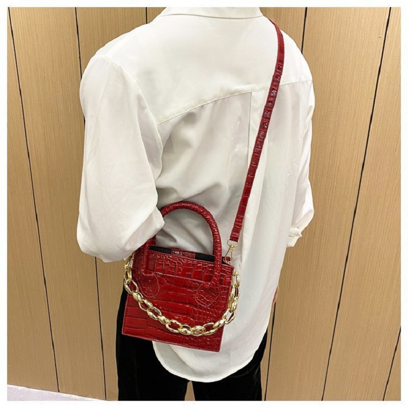 Ladies Mini Vissy Bag With Chain (1001054)