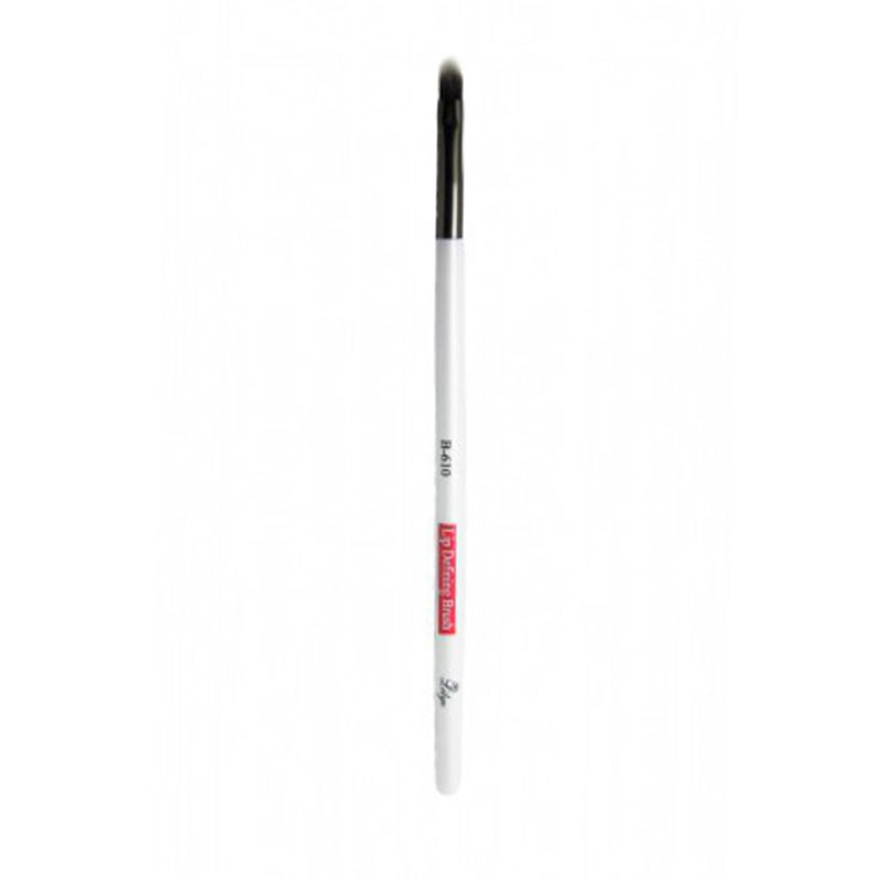 Lilyz Professional Quality Lip Defining Brush B-610 ( 1 )