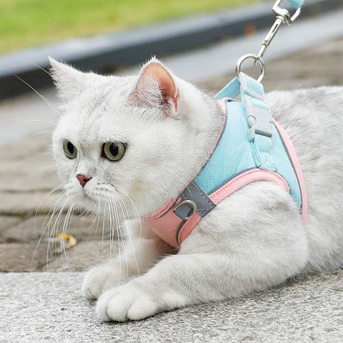meow-xinbao-reflective-cat-traction-rope-medium_regular_63009044061d2.jpg