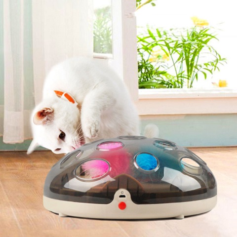 New Crazy Magnetic Turntable Levitation Technology Funny Cat Toy (301207)