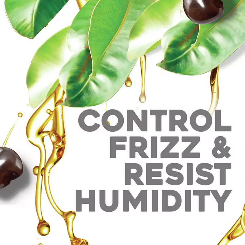 OGX Hydrate & Defrizz + Kukui Oil Shampoo 385ml