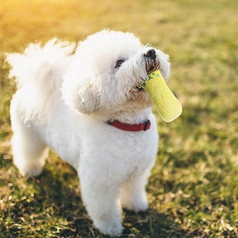 Pet Bite Resistant Cute Plush Chew Toy (301198)