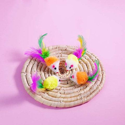 Pet Bundle