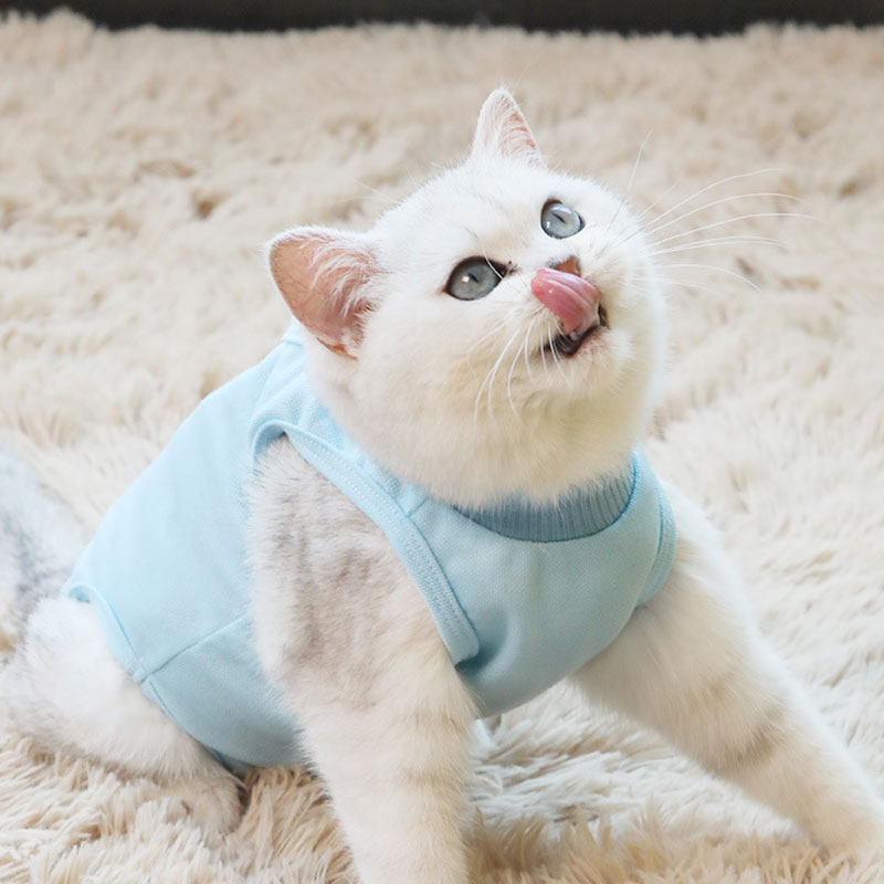 Pet Cat Sterilization Anti-Licking Suit (301200)