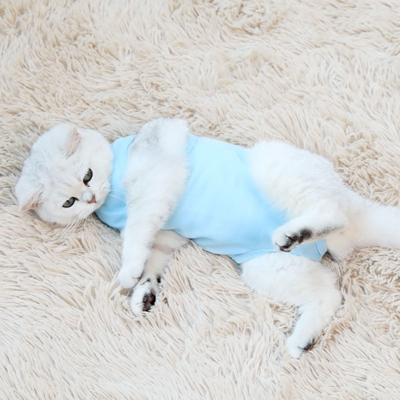 Pet Cat Sterilization Anti-Licking Suit (301200)