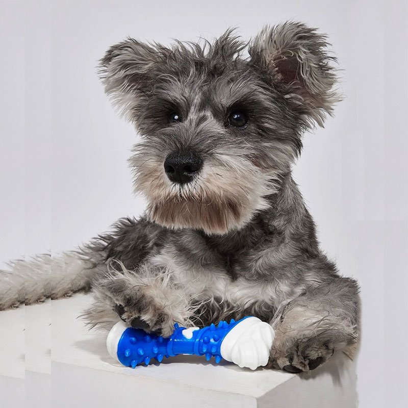 Pet Dog Bite-Resistant Rubberized Dental Bone Toy (301214)