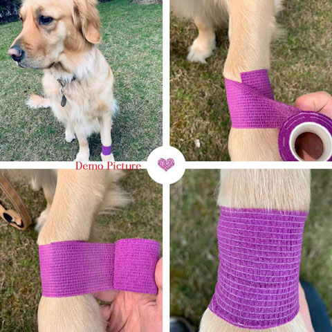 Self Adhesive Elastic Waterproof Roll Bandage For Dogs and Cats - Purple