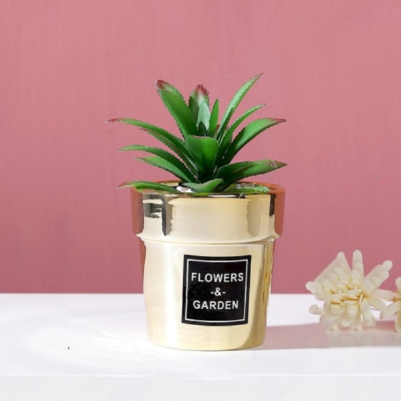 Small Nordic Gold-Plated Ceramic Home Decor Artificial Potted Cactus - Agave (20167)