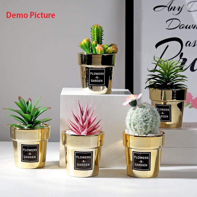 Small Nordic Gold-Plated Ceramic Home Decor Artificial Potted Cactus - Agave (20167)