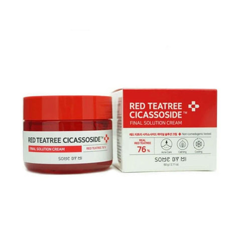 Some By Mi Red TeaTree Cicassoside Derma Solution Cream 60g
