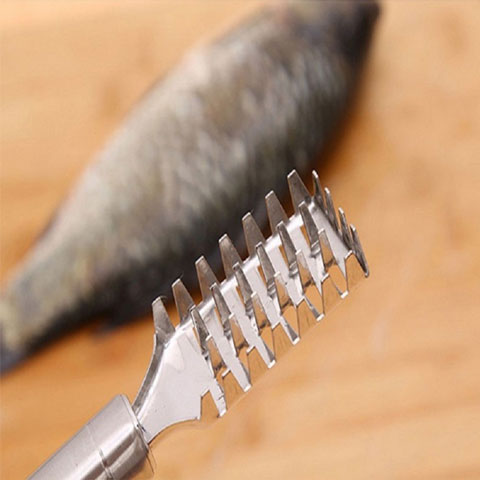 Stainless Steel Scale Scraper