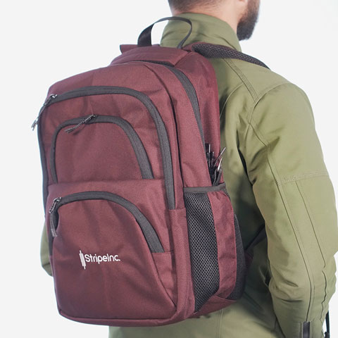 Stripelnc Exclusive & Premium Quality School Bag