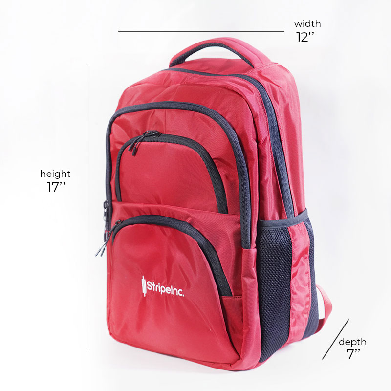 Stripelnc Exclusive & Premium Quality School Bag