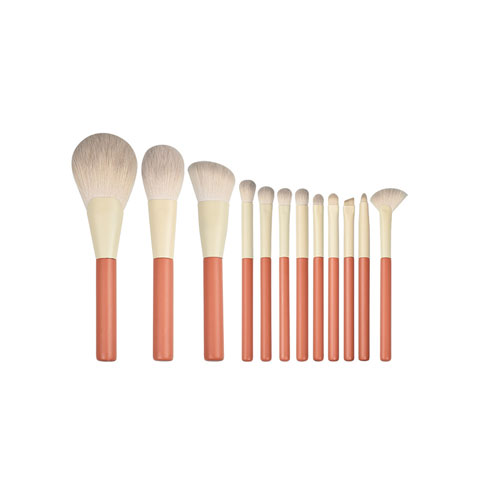 super-soft-12pcs-makeup-brush-set-with-organza-pouch-pink-cream_regular_638ddd9a6bbf1.jpg