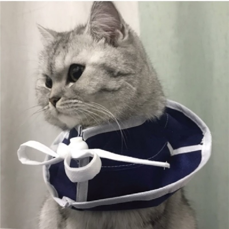 TT. Walk Soft Collar For Cat - Small (20202)