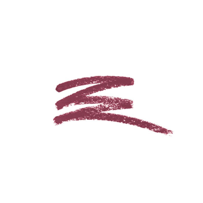 Wet N Wild Perfect Pout Gel Lip Liner Pencil - E663D I Got The Juice