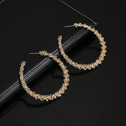 Women's Trendy Thorny Circle Earrings