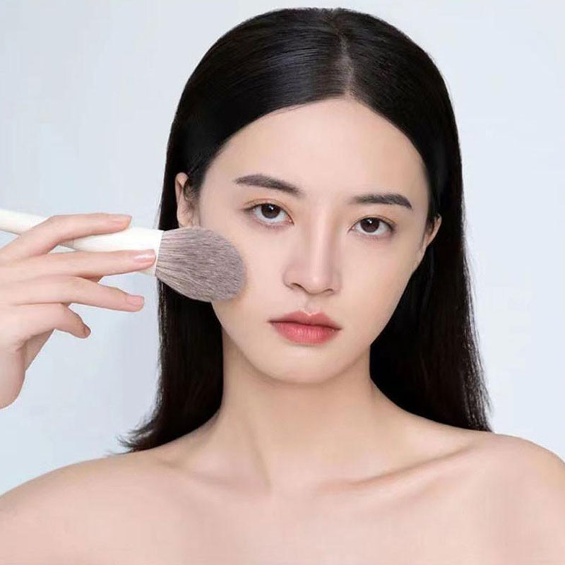 Premium Quality Makeup Brush Set - 10 Pcs